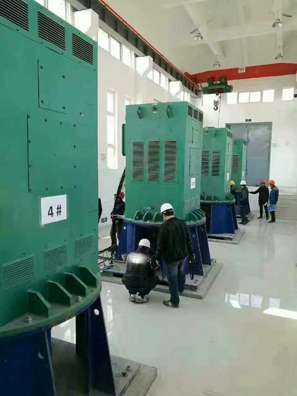 YR5006-8/500KW某污水处理厂使用我厂的立式高压电机安装现场