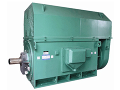 YR5006-8/500KWY系列6KV高压电机